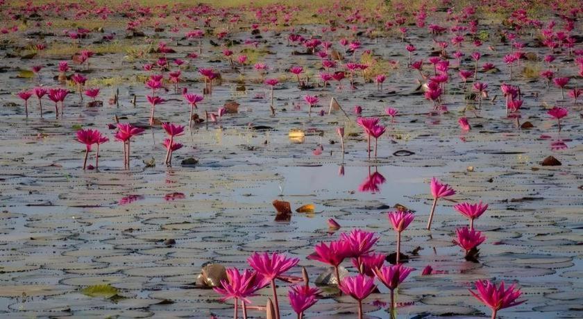 The Infinite Resort Nakhon Sawan Eksteriør billede